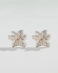 Northern Lights Stud Earrings