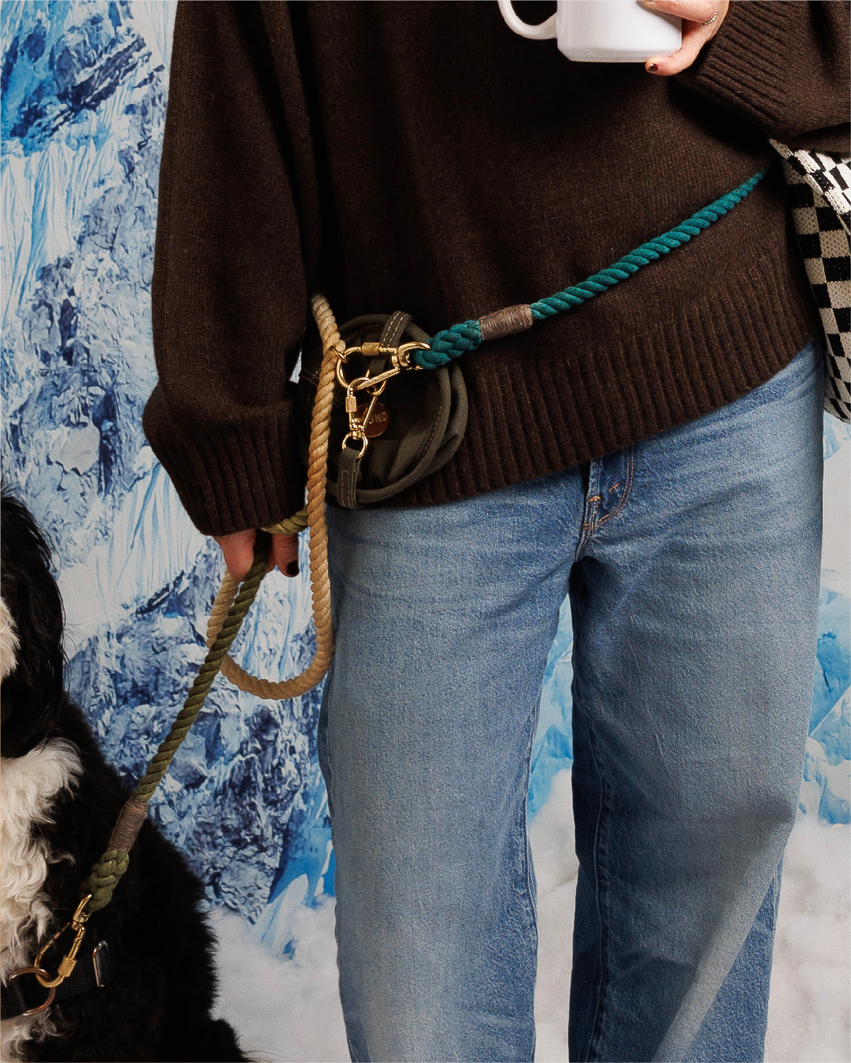 Rope Dog Leash