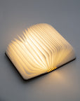 Gingko book light half open like a book, its folded paper pages lit with warm light
