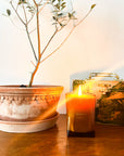 Lit candle on a table next to a houseplant.