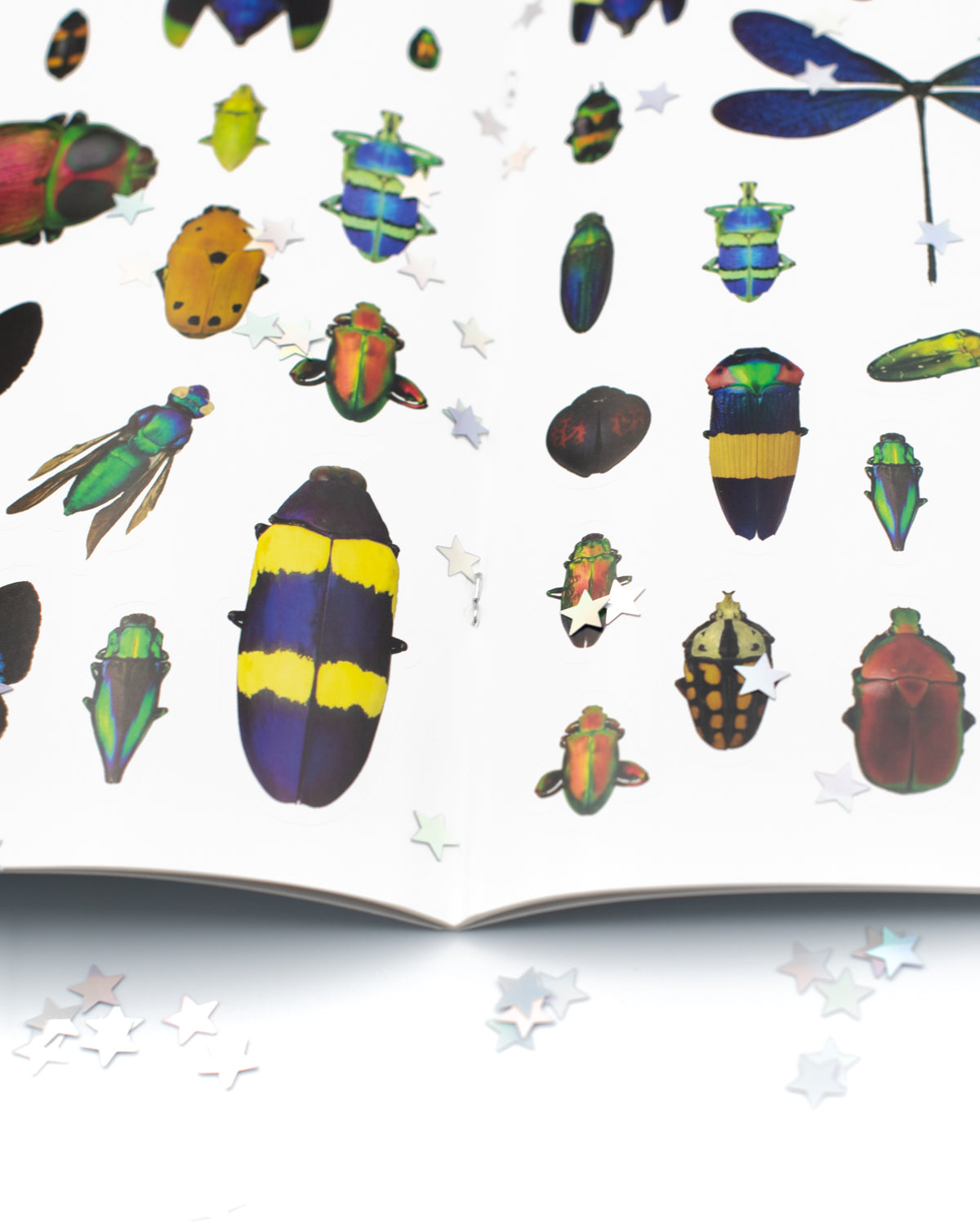 Christopher Marley's Incredible Insects Sticker Book