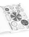 Coloring Book | Ernst Haeckel: Art Forms in Nature Coloring Book