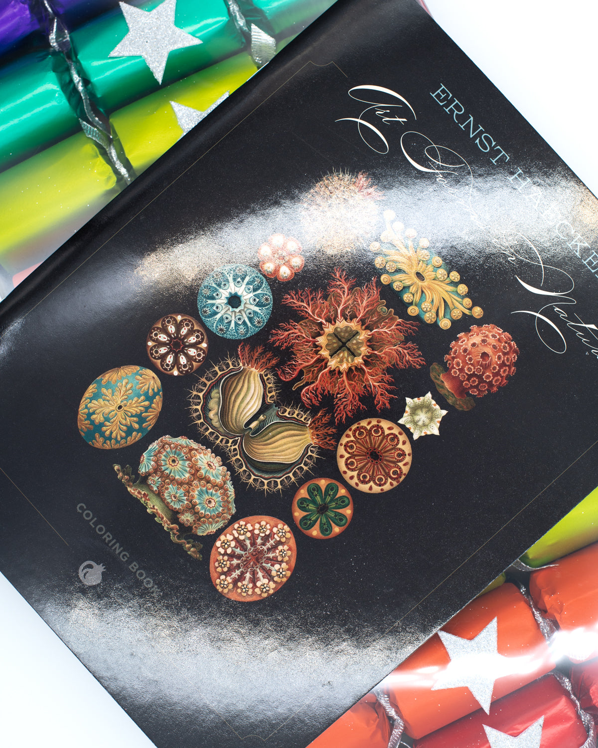 Coloring Book | Ernst Haeckel: Art Forms in Nature Coloring Book