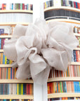 Oversized cloud colored hair scrunchie on top of an open book featuring image of colorful bookshelves.