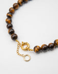 The Ammonite Necklace