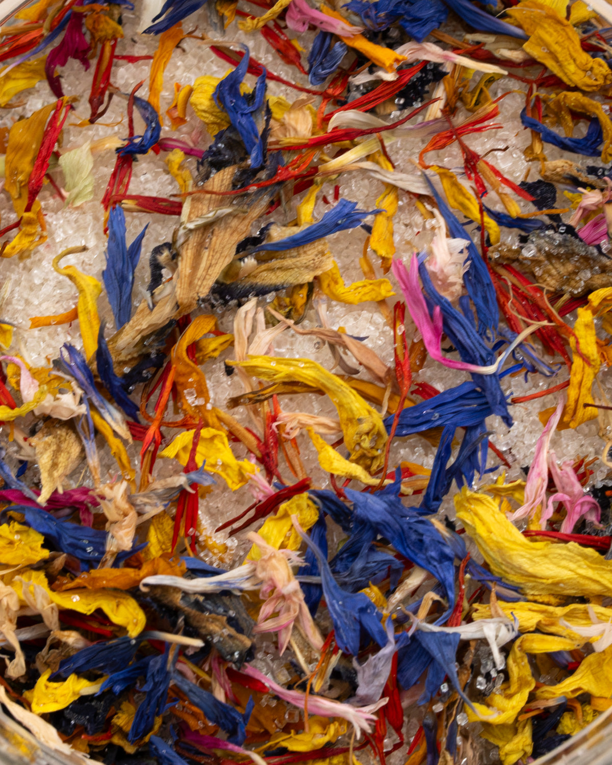 Close-up of cane sugar mixed with dried blue, yellow and red edible wildflower petals