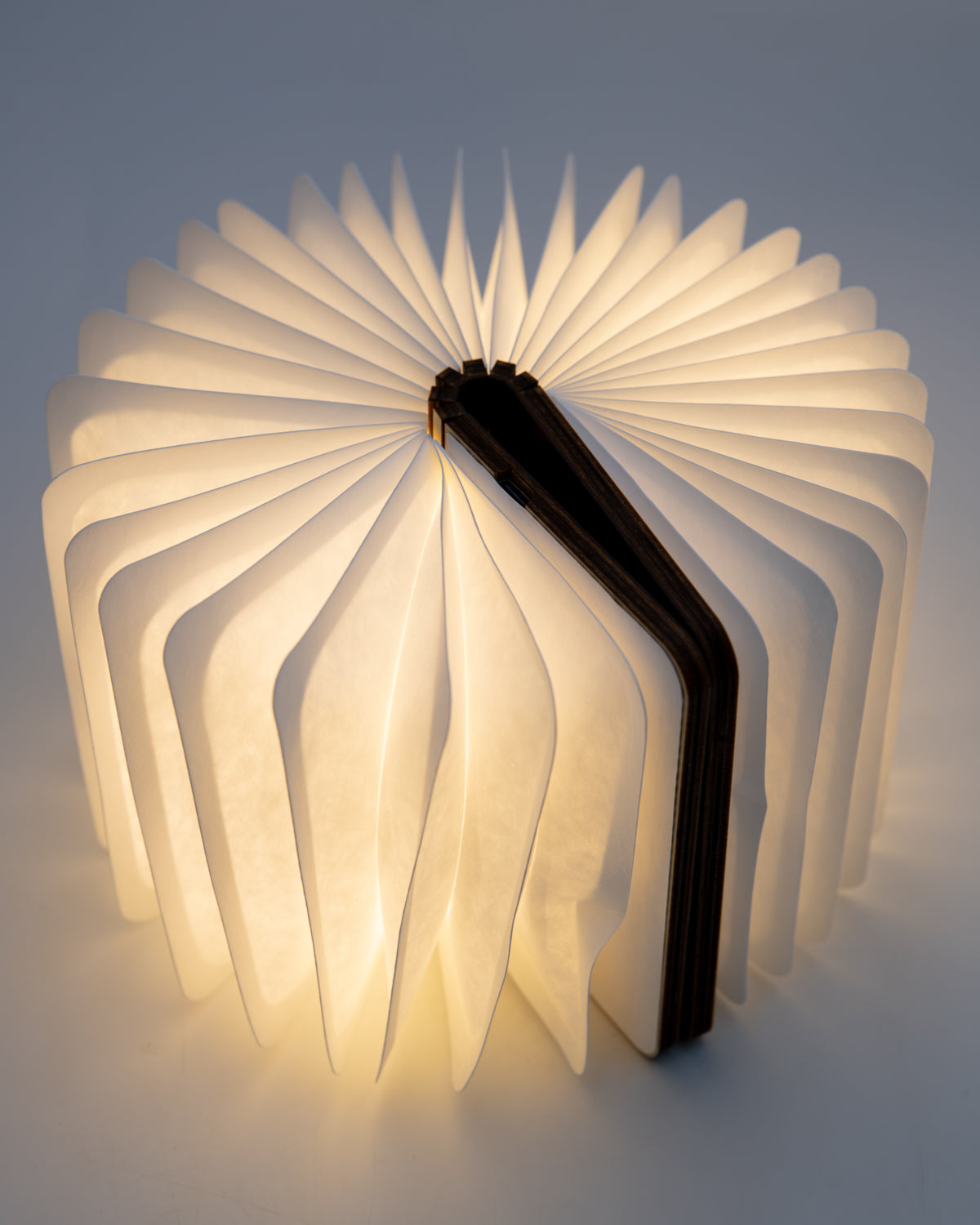 Folding book light opened almost all the way around, with dark wood covers