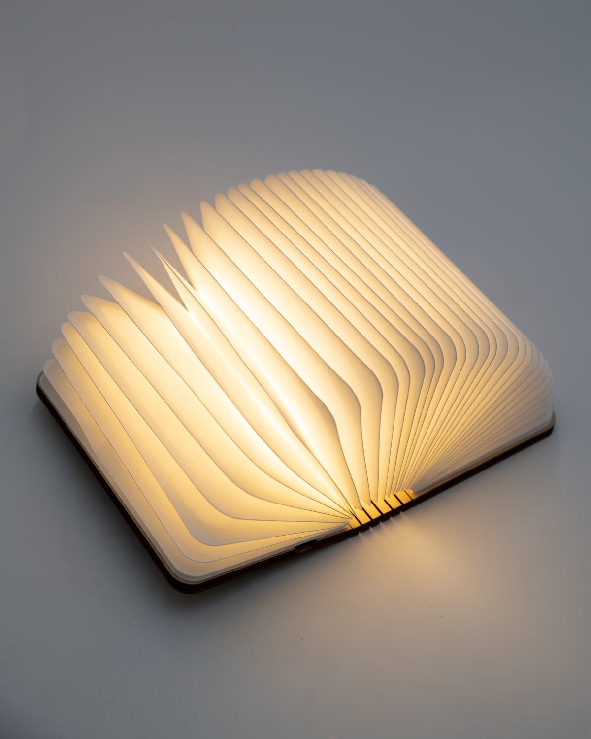 Gingko book light half open like a book, its folded paper pages lit with warm light