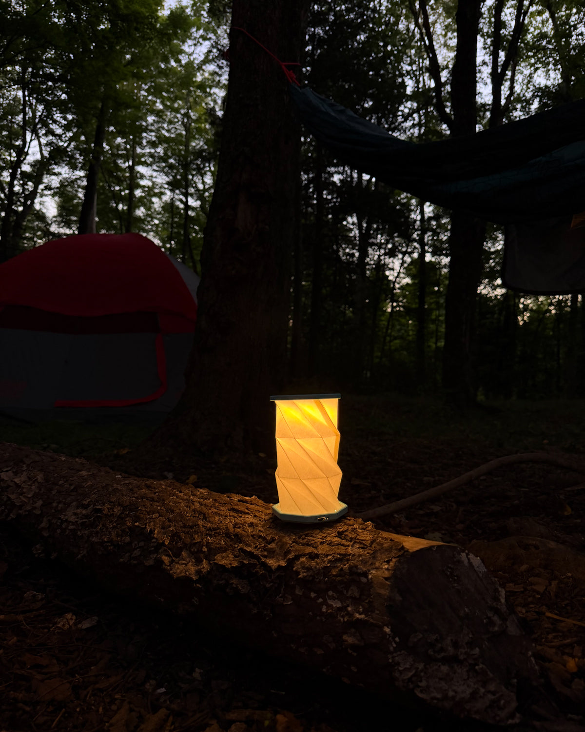 Hexagon twist light glowing on a log at a campsite in the woods