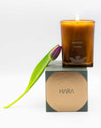 Candle in a brown glass with 'sobremesa' branding on a HARA branded box, with a tulip leaf to the left.