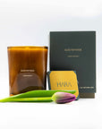 Sobremesa candle with packaging and a tulip on a white background
