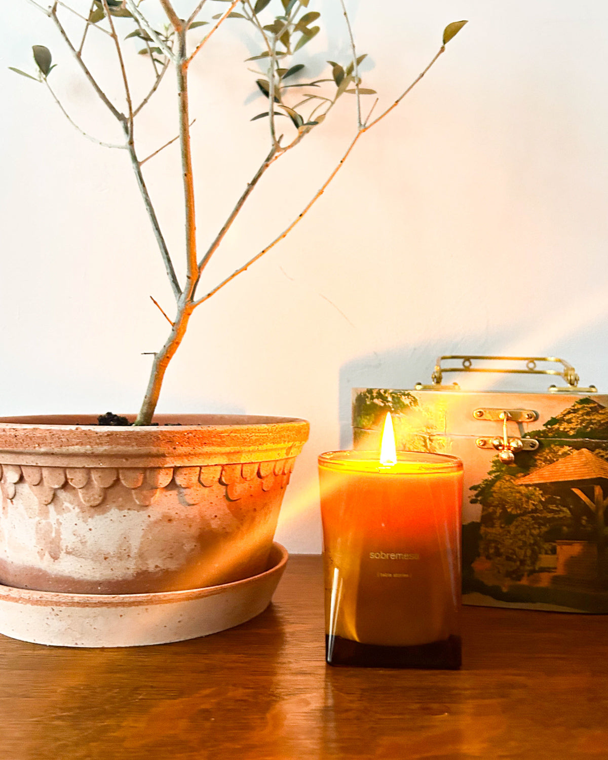 Lit candle on a table next to a houseplant. 