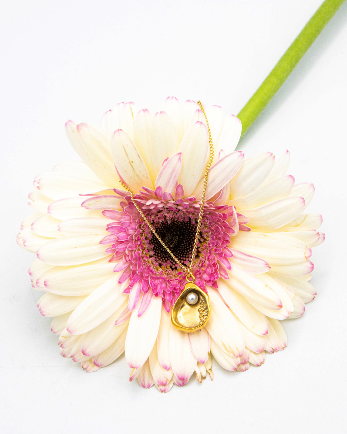 Gold-plated necklace with a shell, glass pearl pendant on a white flower