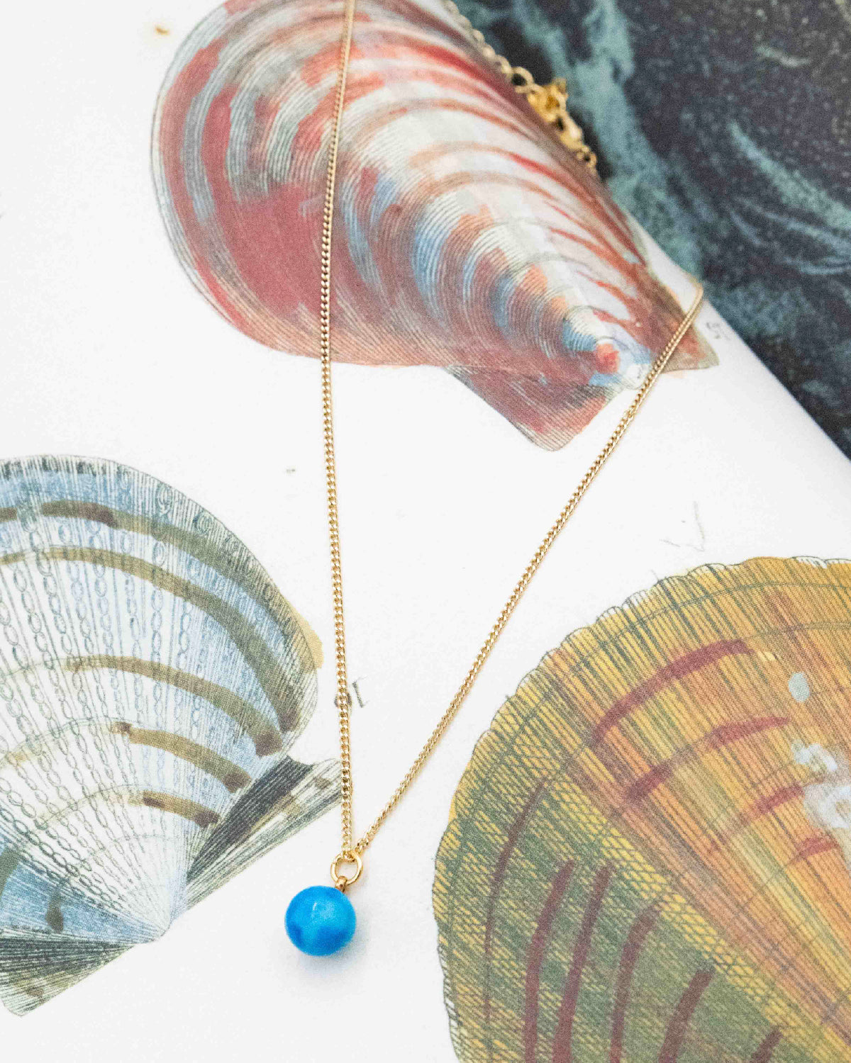 Necklace with a turquoise stone bead pendant on a background of seashells