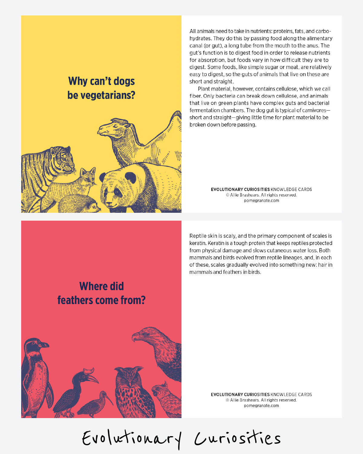 Sample question-and-answer cards from the Evolutionary Curiosities deck, featuring illustrated animals and detailed scientific explanations