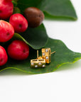 Raising Surfers gold bar shaped stud earrrings with alternating squares of gold and sparkling stones on holly leaves.