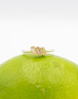 Citrine Stacker Rings