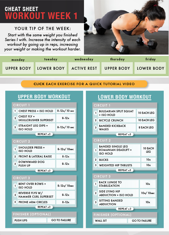 STRONGER Series II, An Advanced Beginner's Guide To Weightlifting – The ...