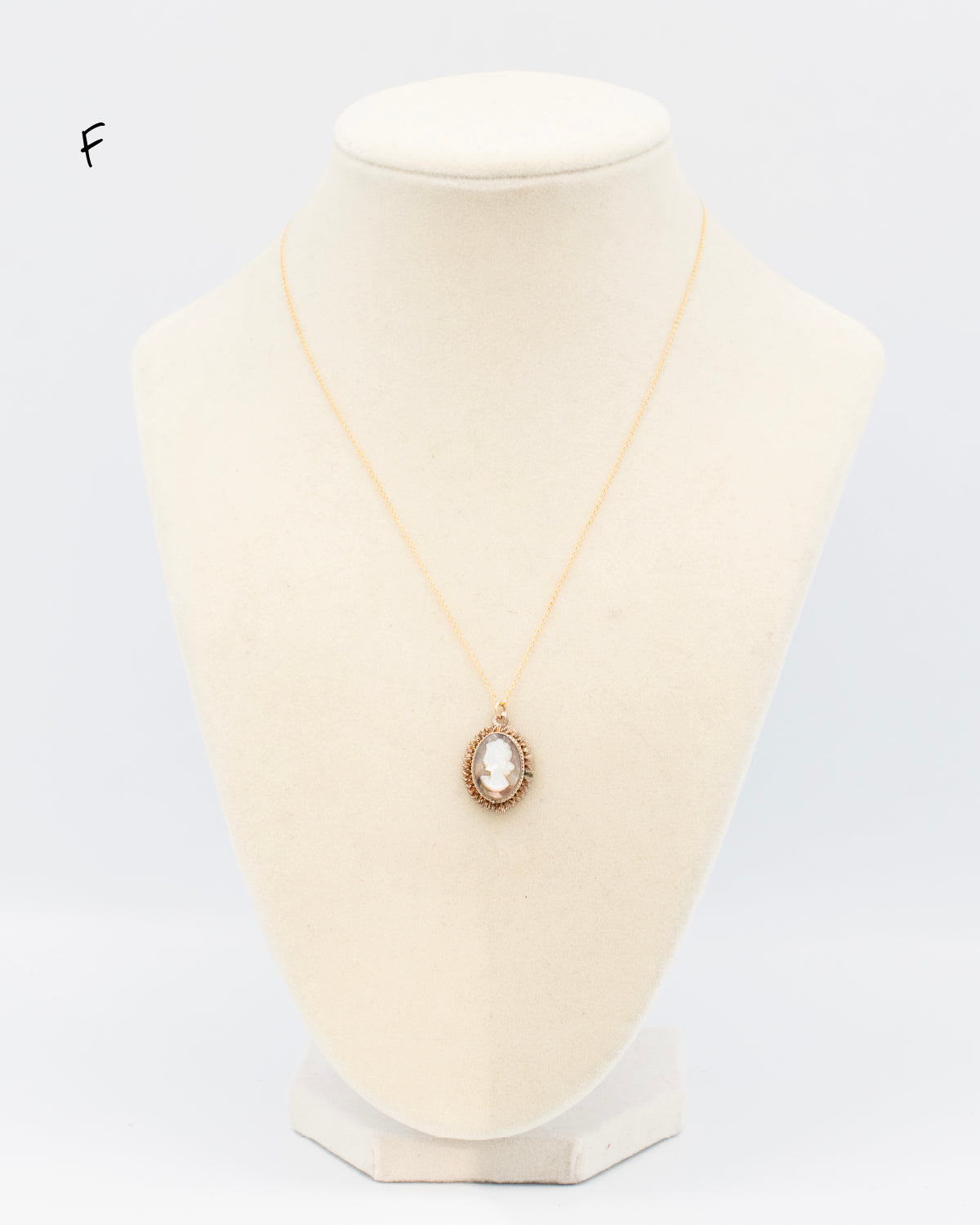 Intaglio reverse-carved glass cameo pendant in gold-fill halo setting on 18&quot; chain on a jewelry bust. 