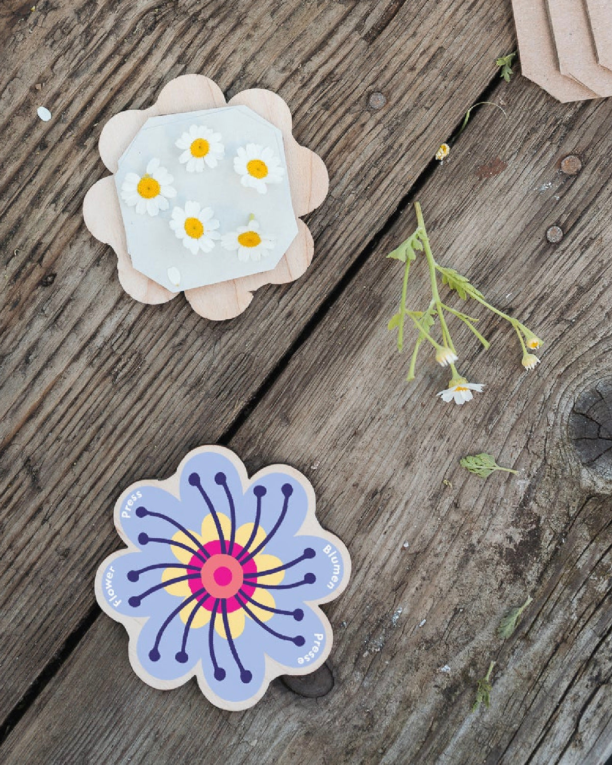 Two Studio Wald flower press keychains on weathered wood, one open with pressed daisies
