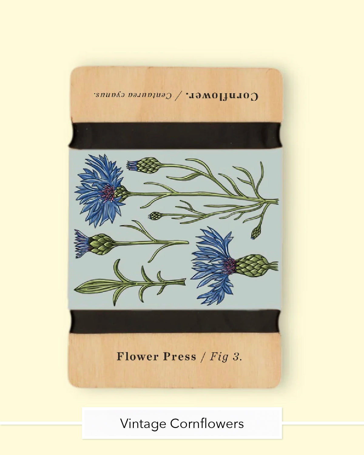 Studio Wald wooden flower press in the Vintage Cornflowers design with black straps
