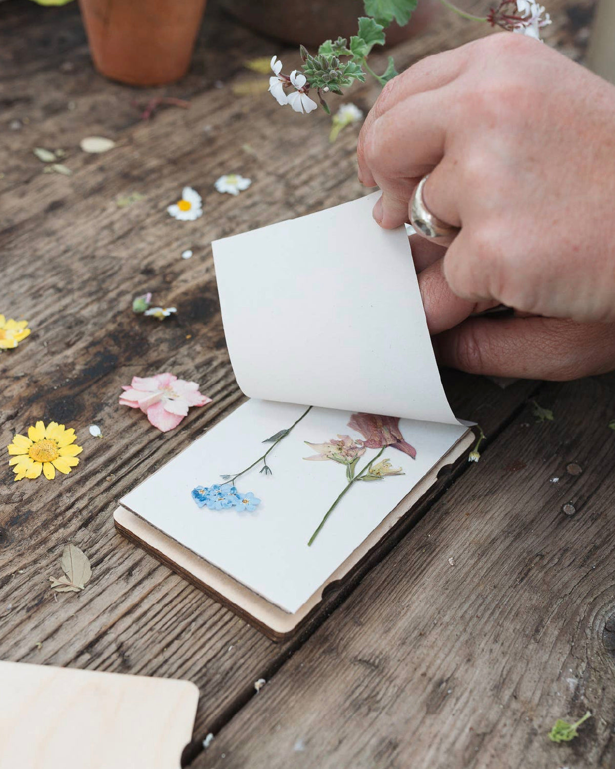 Hand lifting a page of a Studio Wald flower press to show pressed wildflowers