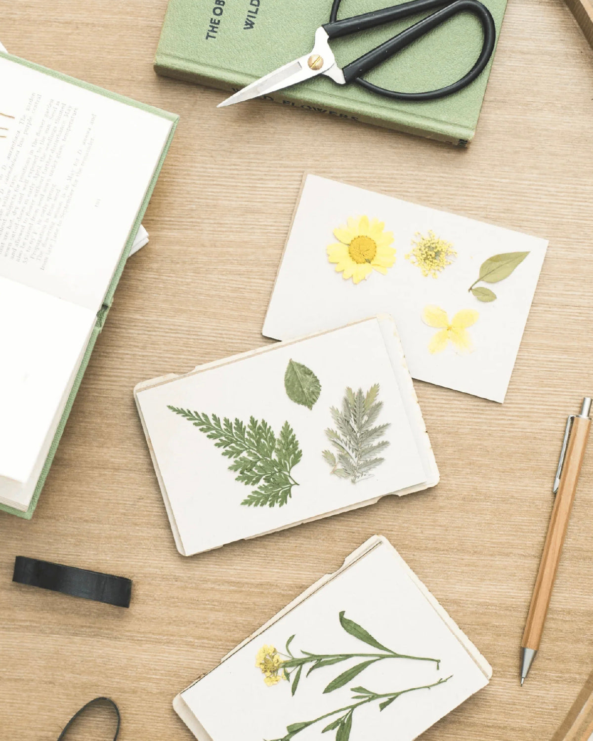 Pressed flowers and ferns on cards beside an open flower press, scissors and a pencil