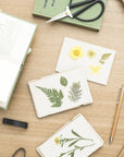 Pressed flowers and ferns on cards beside an open flower press, scissors and a pencil