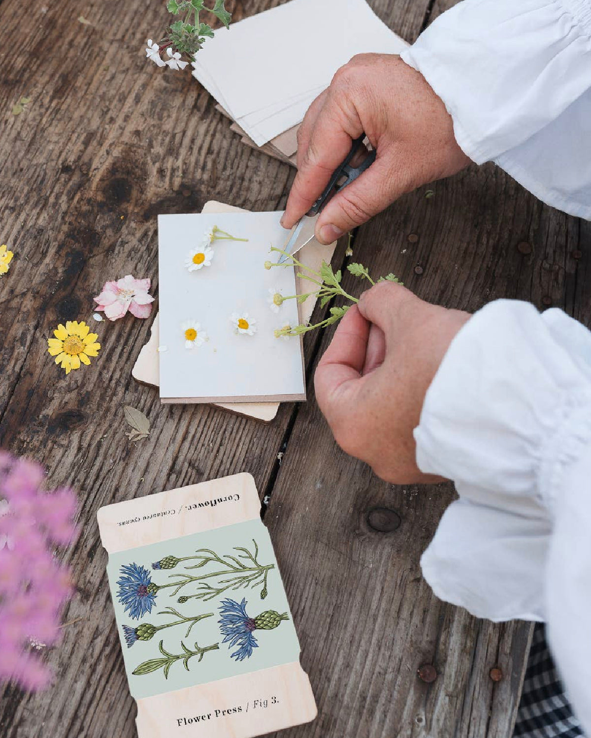 Hands arranging fresh flowers on blotting paper in an open Studio Wald flower press