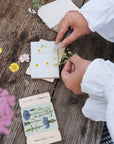 Hands arranging fresh flowers on blotting paper in an open Studio Wald flower press
